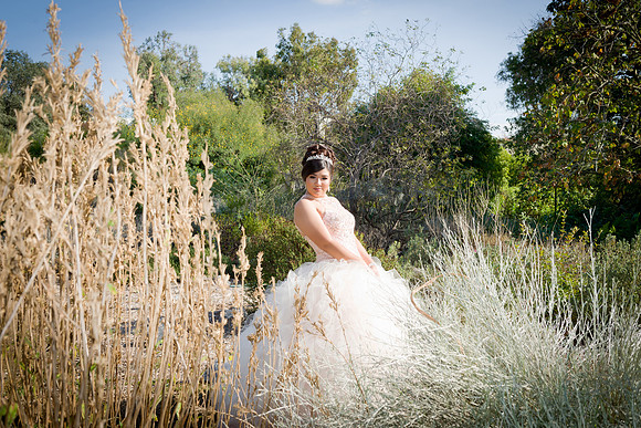 Viva_Studio_MF_Pre-XV_-035