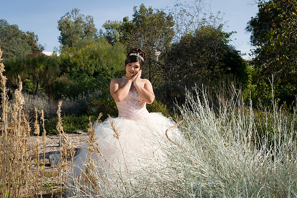 Viva_Studio_MF_Pre-XV_-036