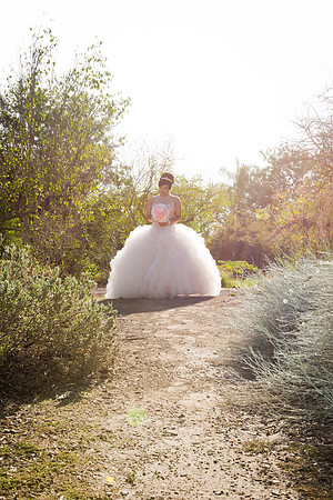 Viva_Studio_MF_Pre-XV_-041