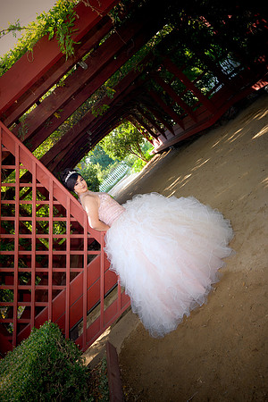 Viva_Studio_MF_Pre-XV_-048