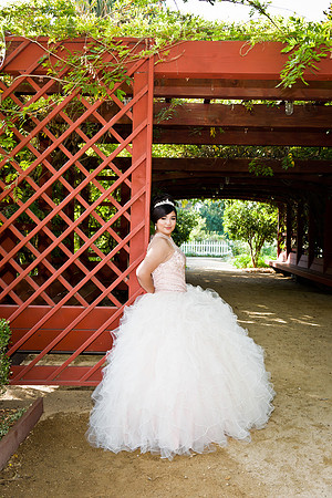 Viva_Studio_MF_Pre-XV_-051