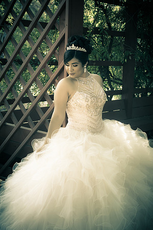 Viva_Studio_MF_Pre-XV_-052
