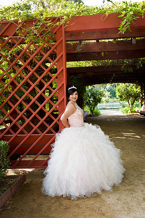 Viva_Studio_MF_Pre-XV_-053