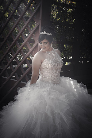 Viva_Studio_MF_Pre-XV_-054
