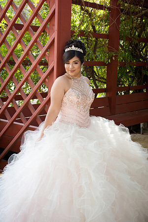 Viva_Studio_MF_Pre-XV_-055