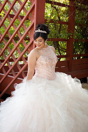Viva_Studio_MF_Pre-XV_-056