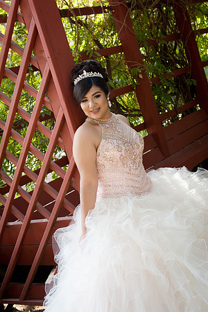 Viva_Studio_MF_Pre-XV_-057