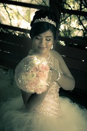 Viva_Studio_MF_Pre-XV_-061