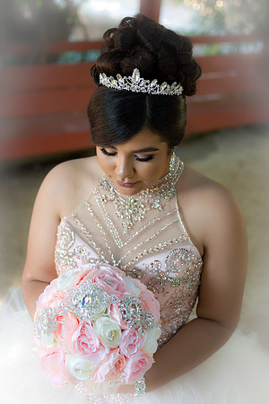 Viva_Studio_MF_Pre-XV_-062