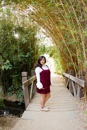 Viva_Studio_MF_Pre-XV_-070