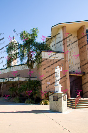 Viva_Studio_stc05102025_004