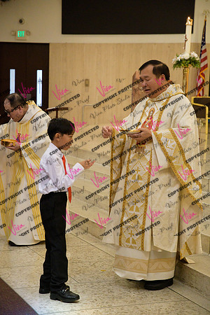 Viva_Studio_stc05102025_170