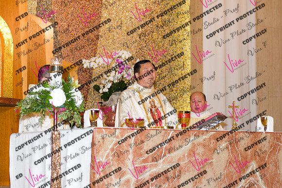 Viva_Studio_stc05102025_162