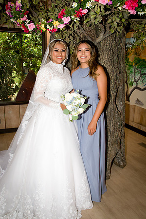 Viva_Studio_RJwed_7-6-2024 - 060