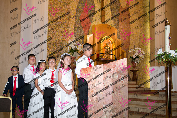 Viva_Studio_stc05102025_136