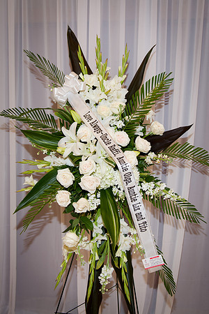 Viva_Studio_MCO_255