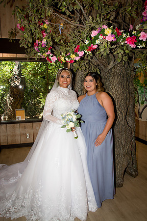 Viva_Studio_RJwed_7-6-2024 - 048