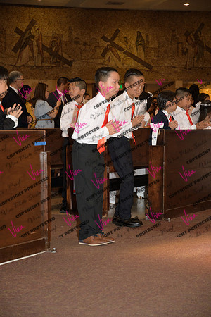Viva_Studio_stc05102025_072