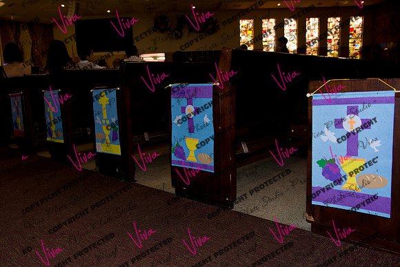 Viva_Studio_stc05102025_018