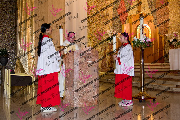 Viva_Studio_stc05102025_111