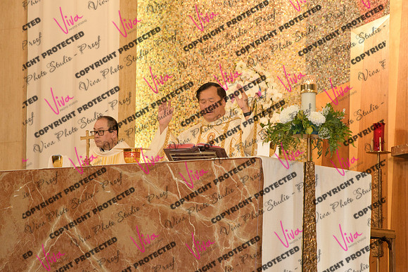 Viva_Studio_stc05102025_150