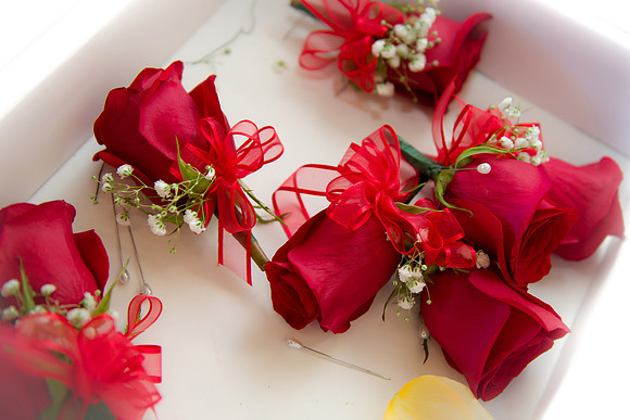 Viva_Studio_CMwed_248