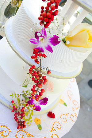 Viva_Studio_CMwed_458