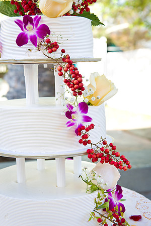 Viva_Studio_CMwed_509