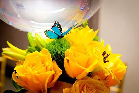 Viva Photo Studio - AlannaXV - 008