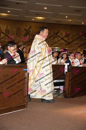 Viva_Studio_stc05102025_085