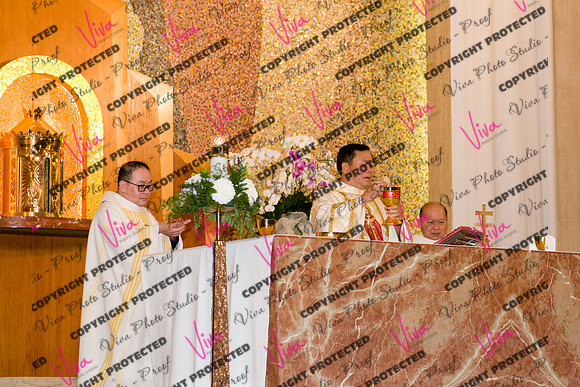 Viva_Studio_stc05102025_165