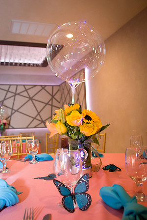Viva Photo Studio - AlannaXV - 050