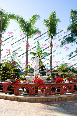 Viva_Studio_stc05102025_001
