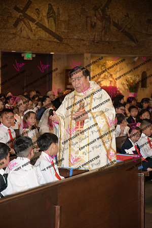 Viva_Studio_stc05102025_120