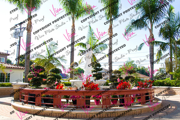 Viva_Studio_stc05102025_002