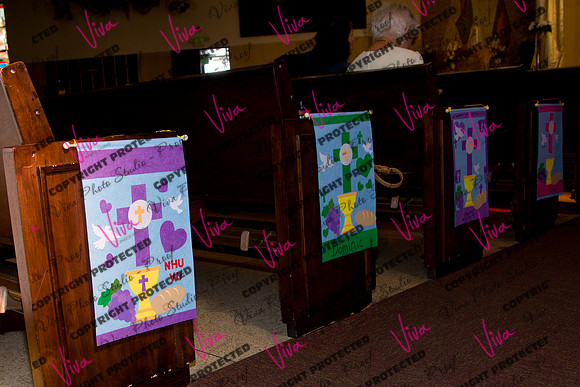 Viva_Studio_stc05102025_022