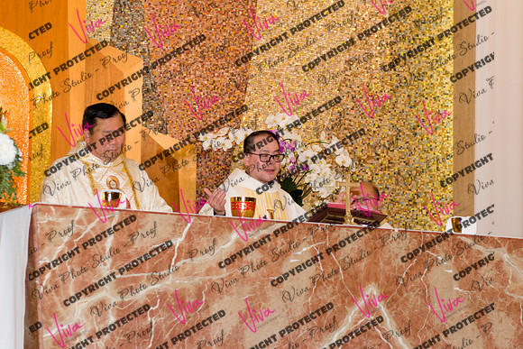 Viva_Studio_stc05102025_157