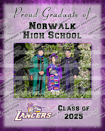 952523-2_NHS_collage