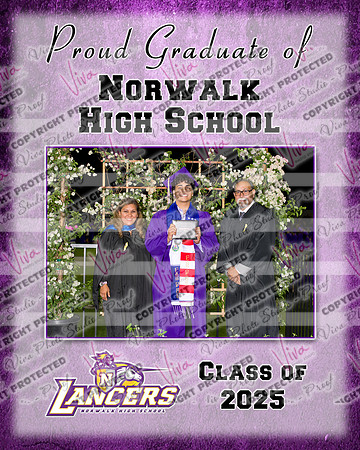 952342-3_NHS_collage