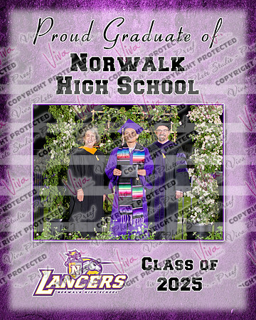 954395-3_NHS_collage