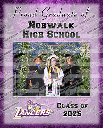 952445-3_NHS_collage
