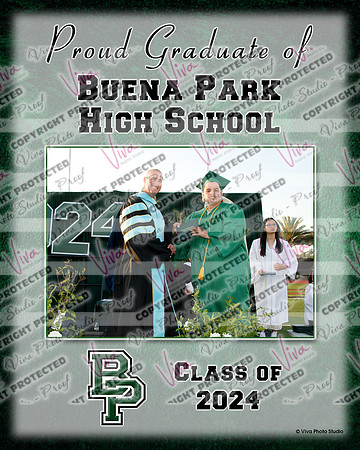 500018218_VPS_0570_BPHS Collage