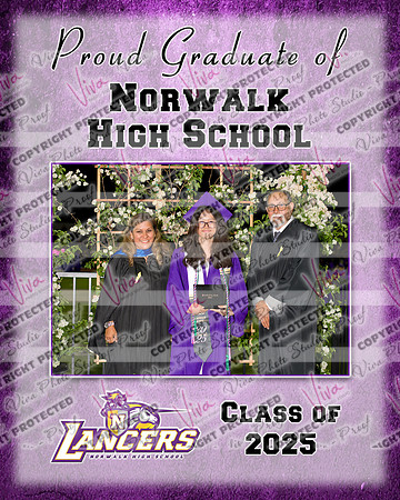 952541-3_NHS_collage