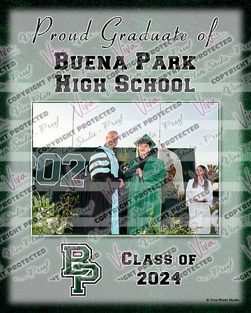 500018187_VPS_0702_BPHS Collage