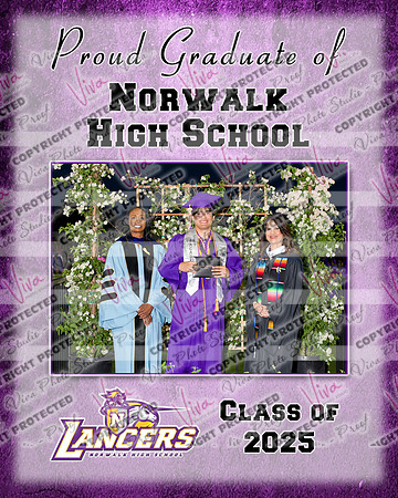 952404-3_NHS_collage