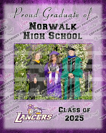952378-2_NHS_collage