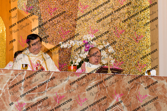 Viva_Studio_stc05102025_156