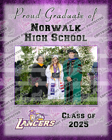 952079-2_NHS_collage