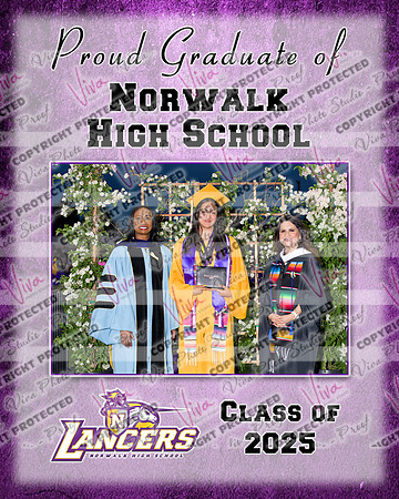 954189-3_NHS_collage