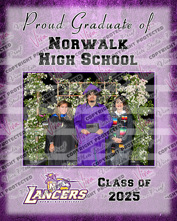 952770-2_NHS_collage